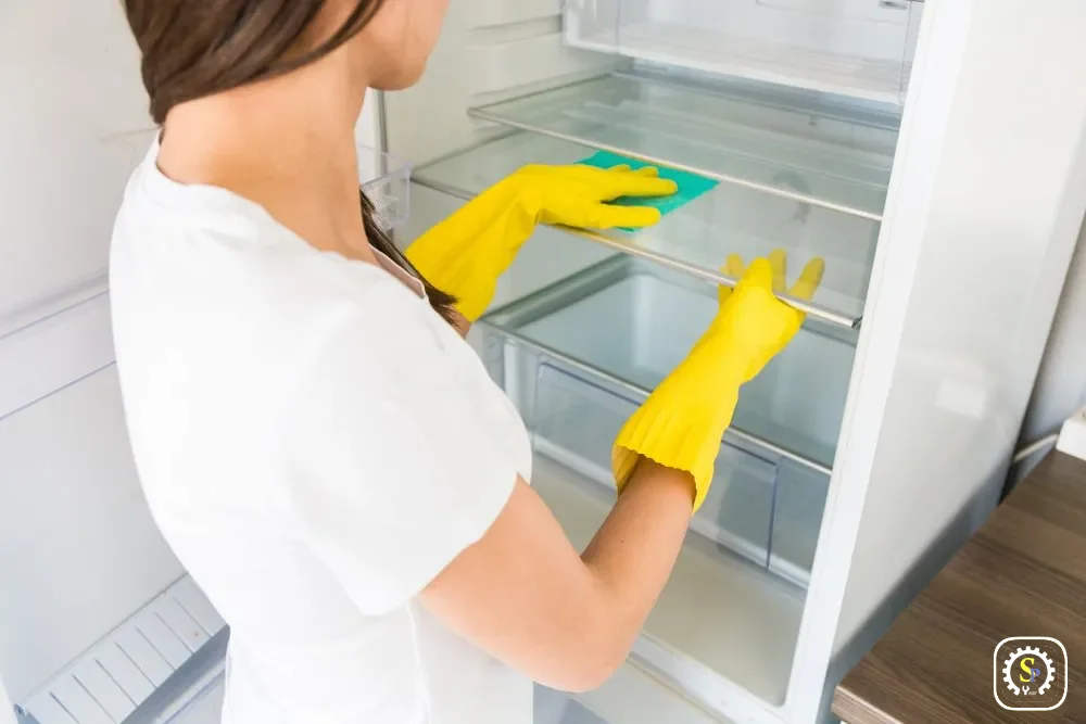 Cleaning-Refrigerator2
