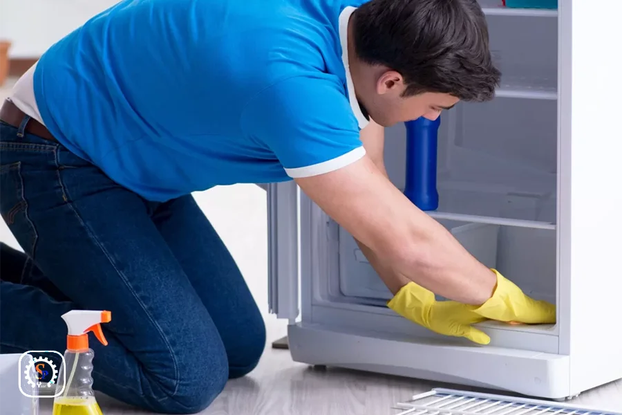 cleaning-himalia-fridge