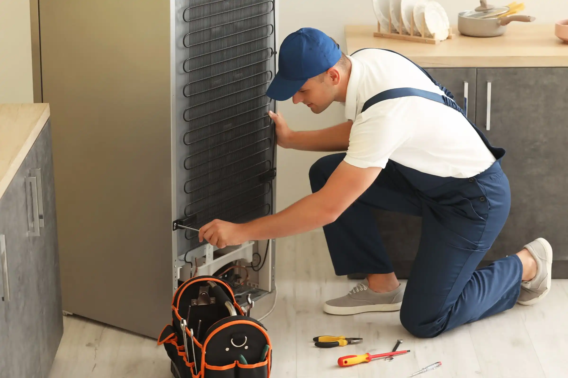 نمایندگی معتبر یخچال کنوود در مرکز شهر تهران